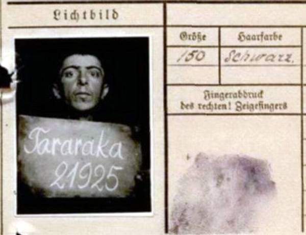 Тарарака Григорий Яковлевич