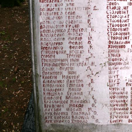 Братская могила в с. Старые Шепеличи