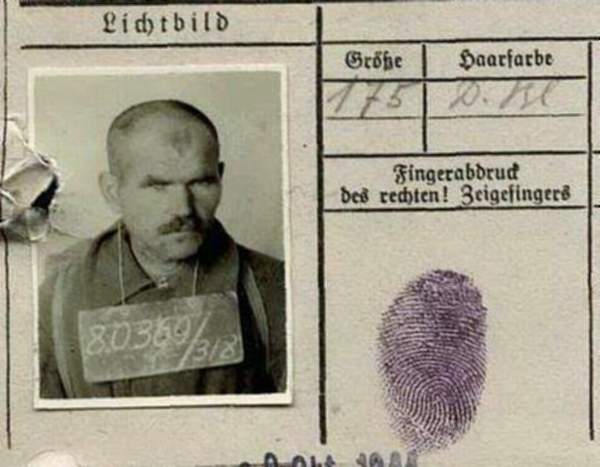 Шевцов Василий Павлович