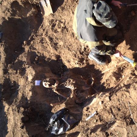 Подъем бойцов 26.10.2014 г.