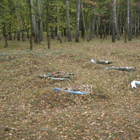 Братская могила Воинов ВОВ - западная окраина города