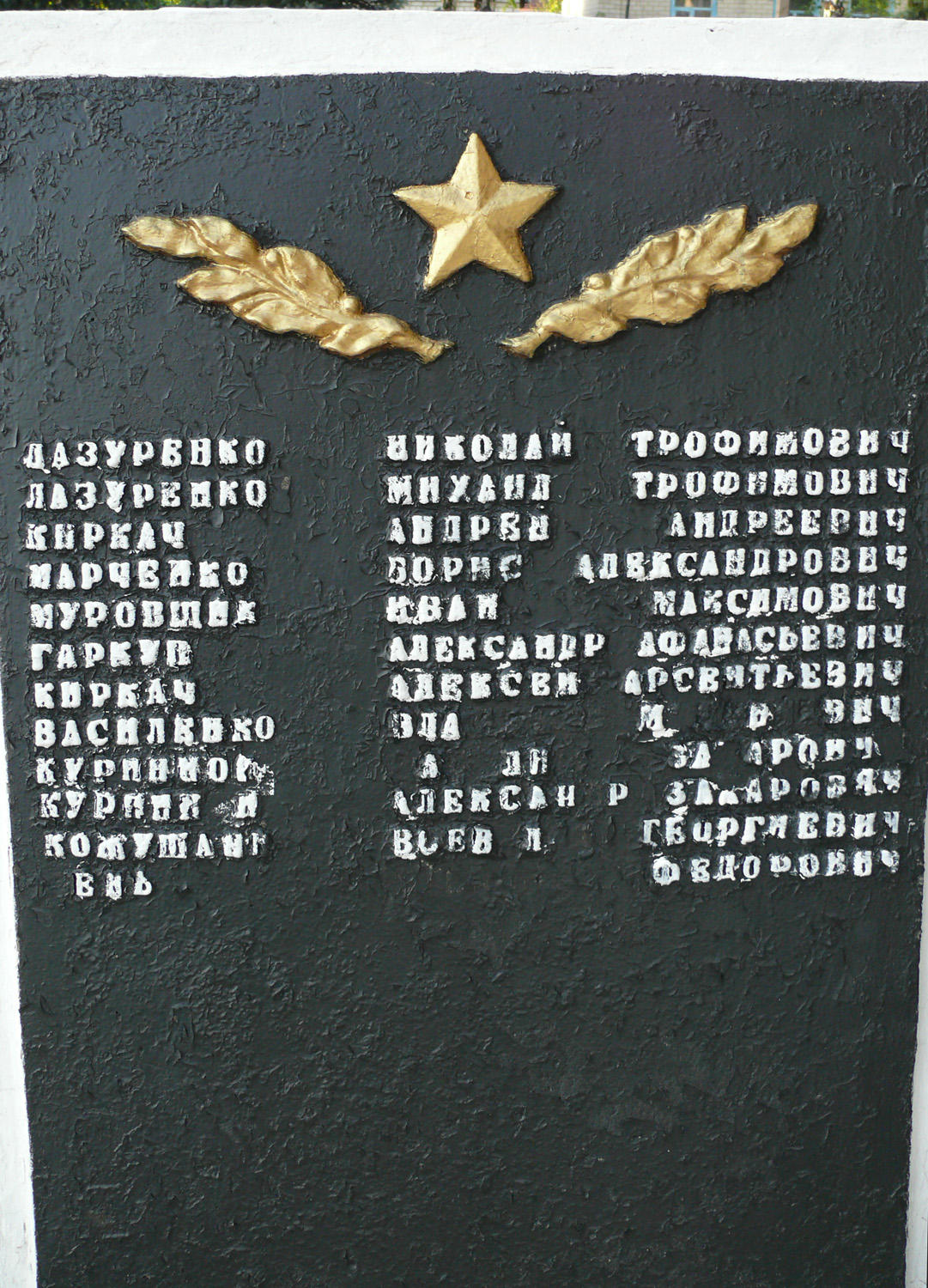 Братская могила в центре г. Святогорск Донецкой обл.