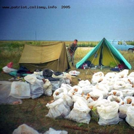 Окресности 35 Береговой Батареи