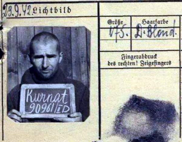 Курнат Григорий Сергеевич