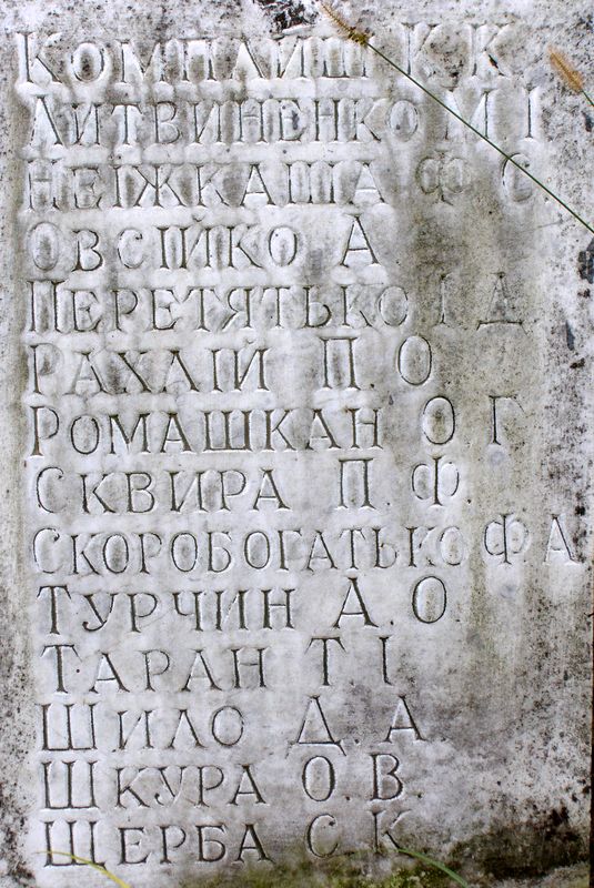 Братская могила на кладбище с. Плиски Борзнянского района