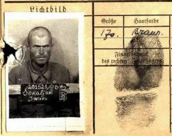 Соколюк Иван Дорофеевич