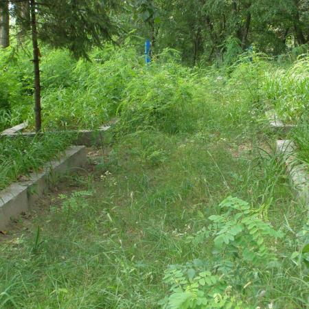 с. Ковпыта Черниговского района Черниговской области, Братская могила Воинов ВОВ
