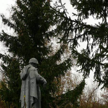 Иванковский район, село Корогод