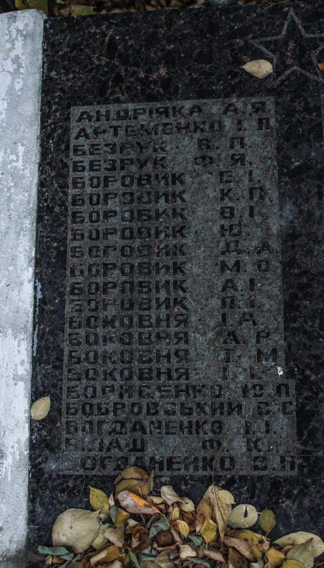 Братская могила в с. Страхолесье Иванковского района