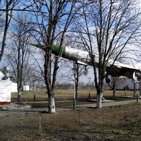 Братская могила в с. Лесное Тарутинского района