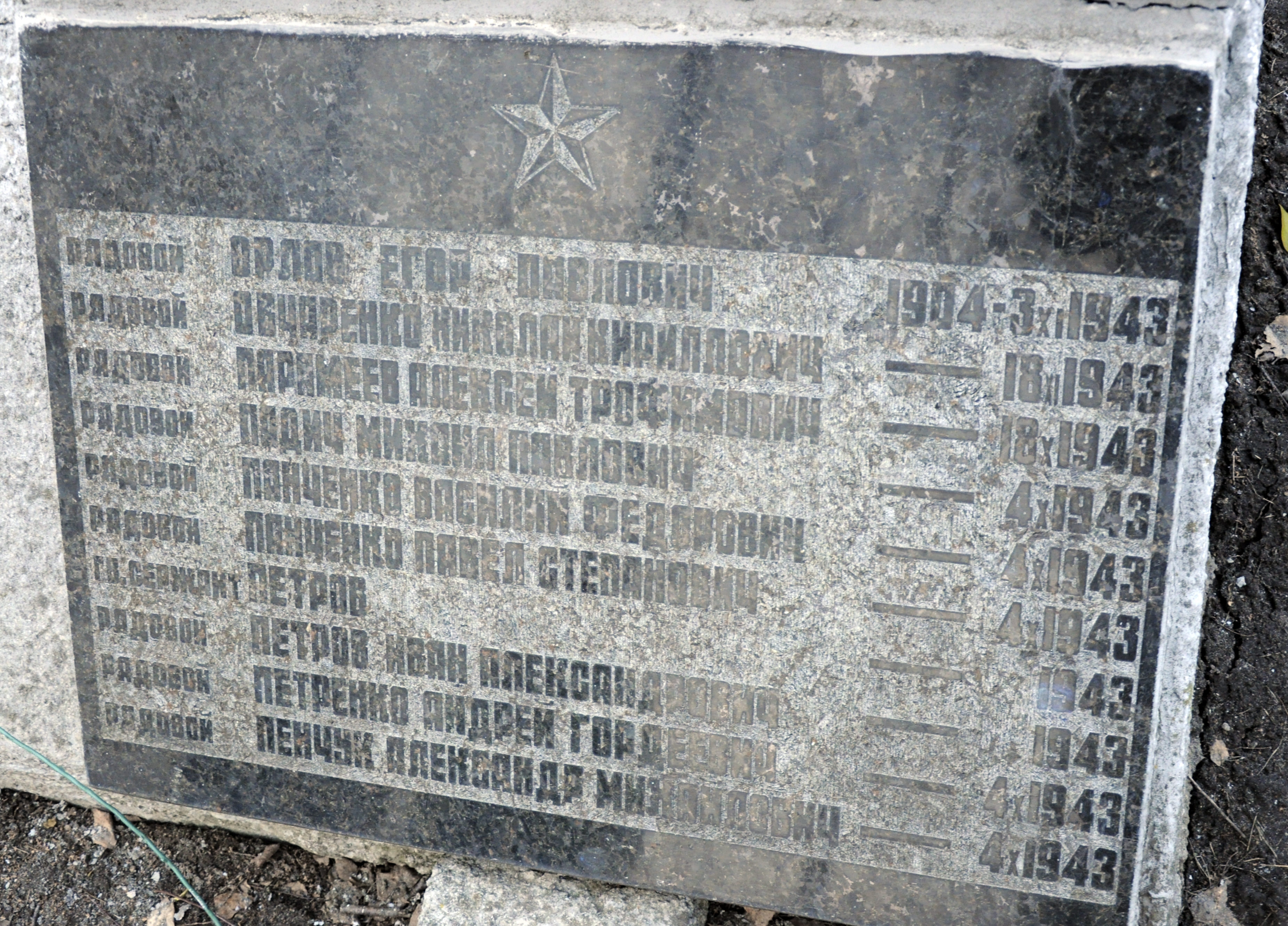 Братская могила в с. Новые Петровцы Вышгородского района