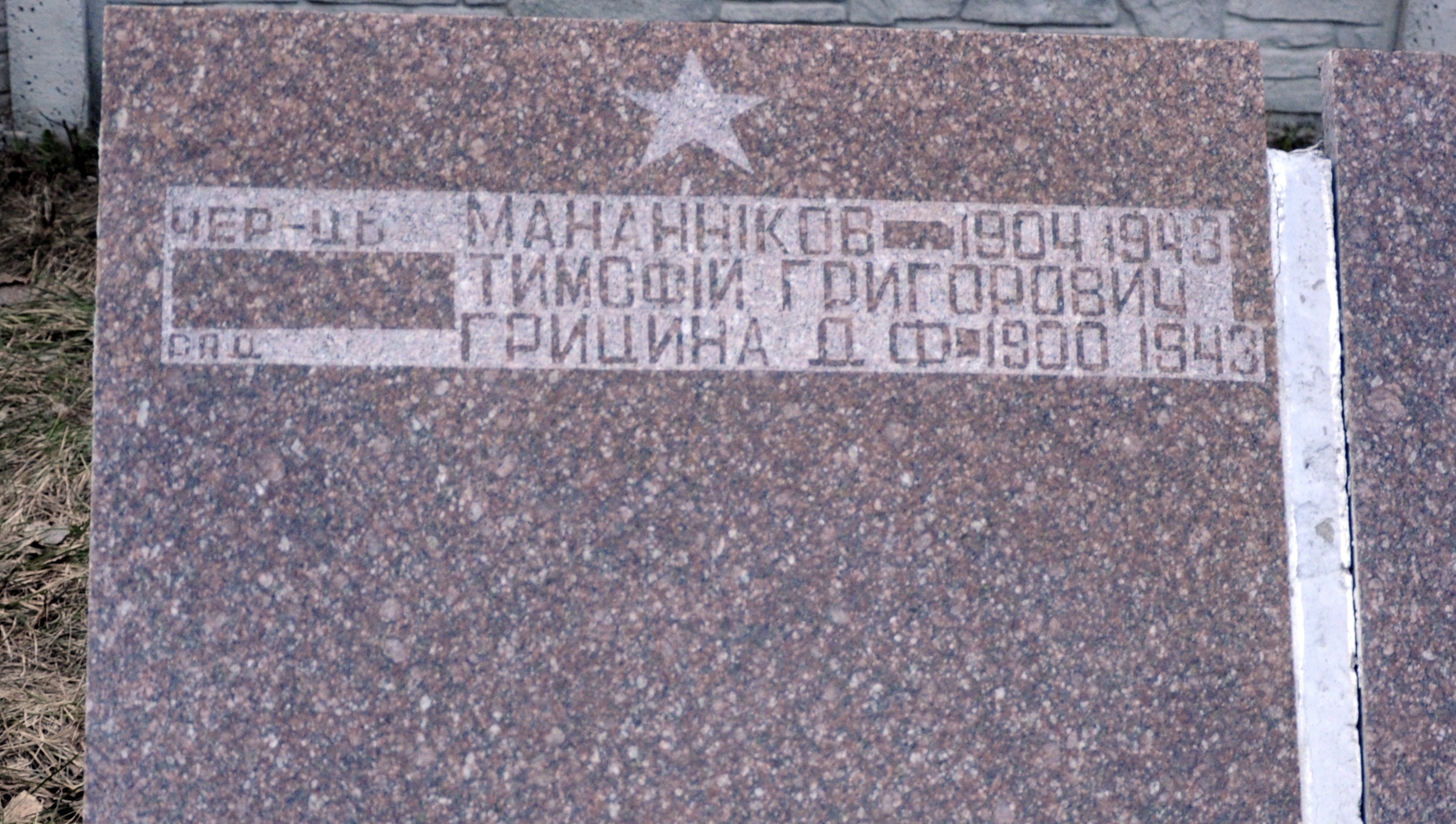 Братская могила в с. Новые Петровцы Вышгородского района