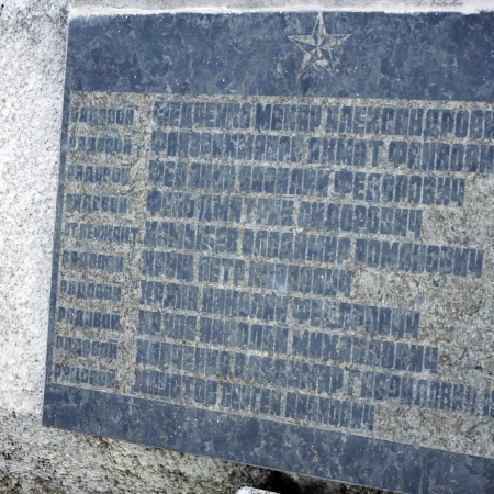 Братская могила в с. Новые Петровцы Вышгородского района