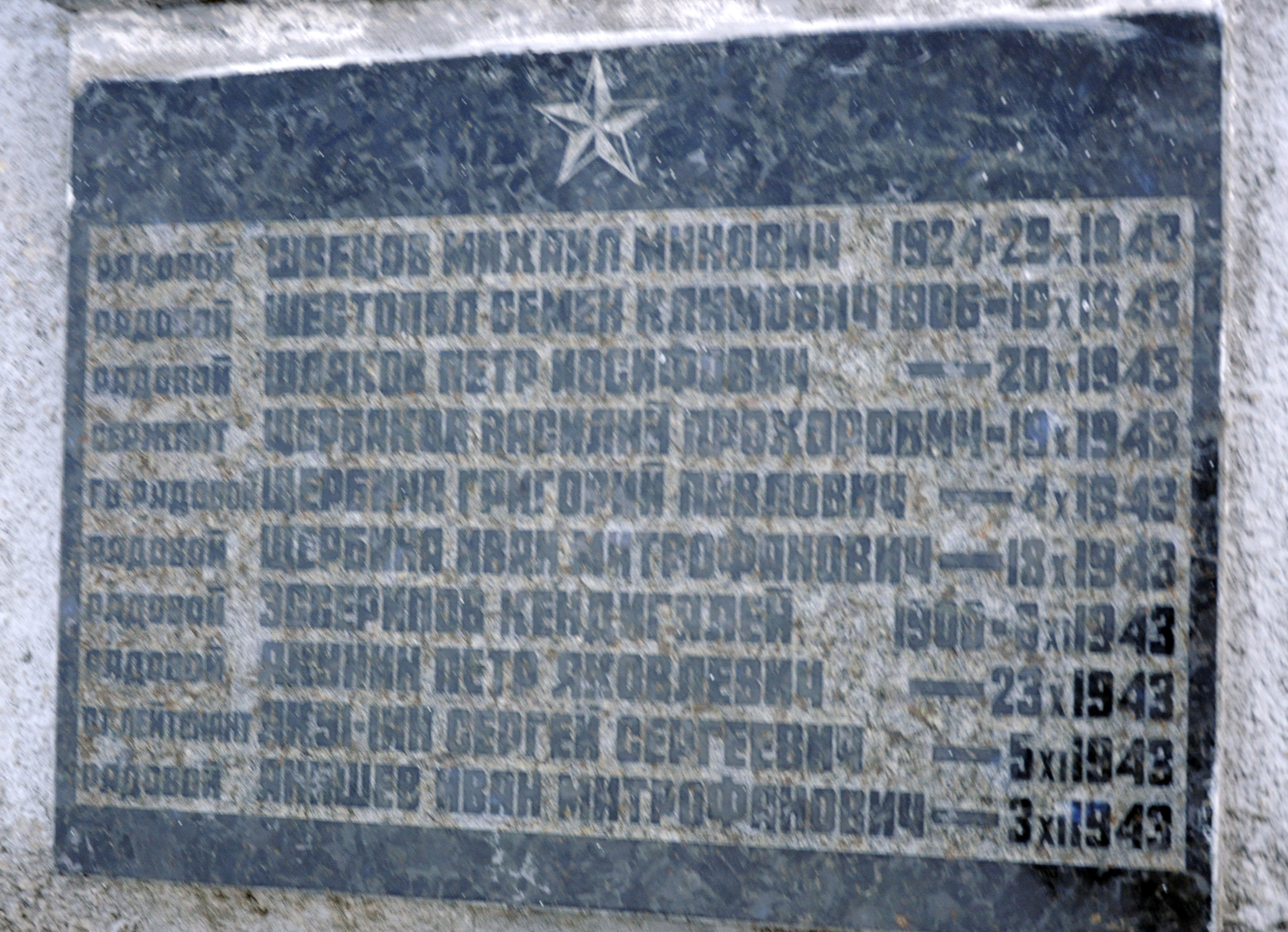 Братская могила в с. Новые Петровцы Вышгородского района