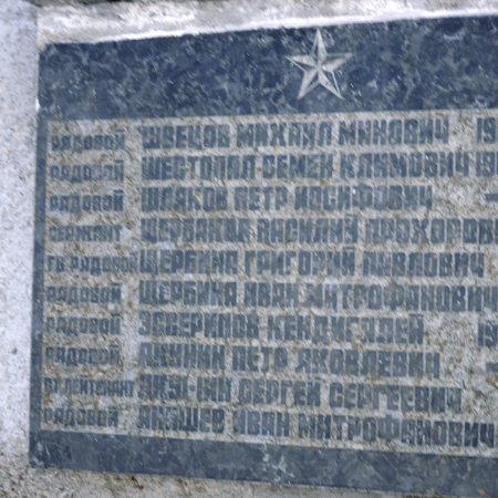 Братская могила в с. Новые Петровцы Вышгородского района