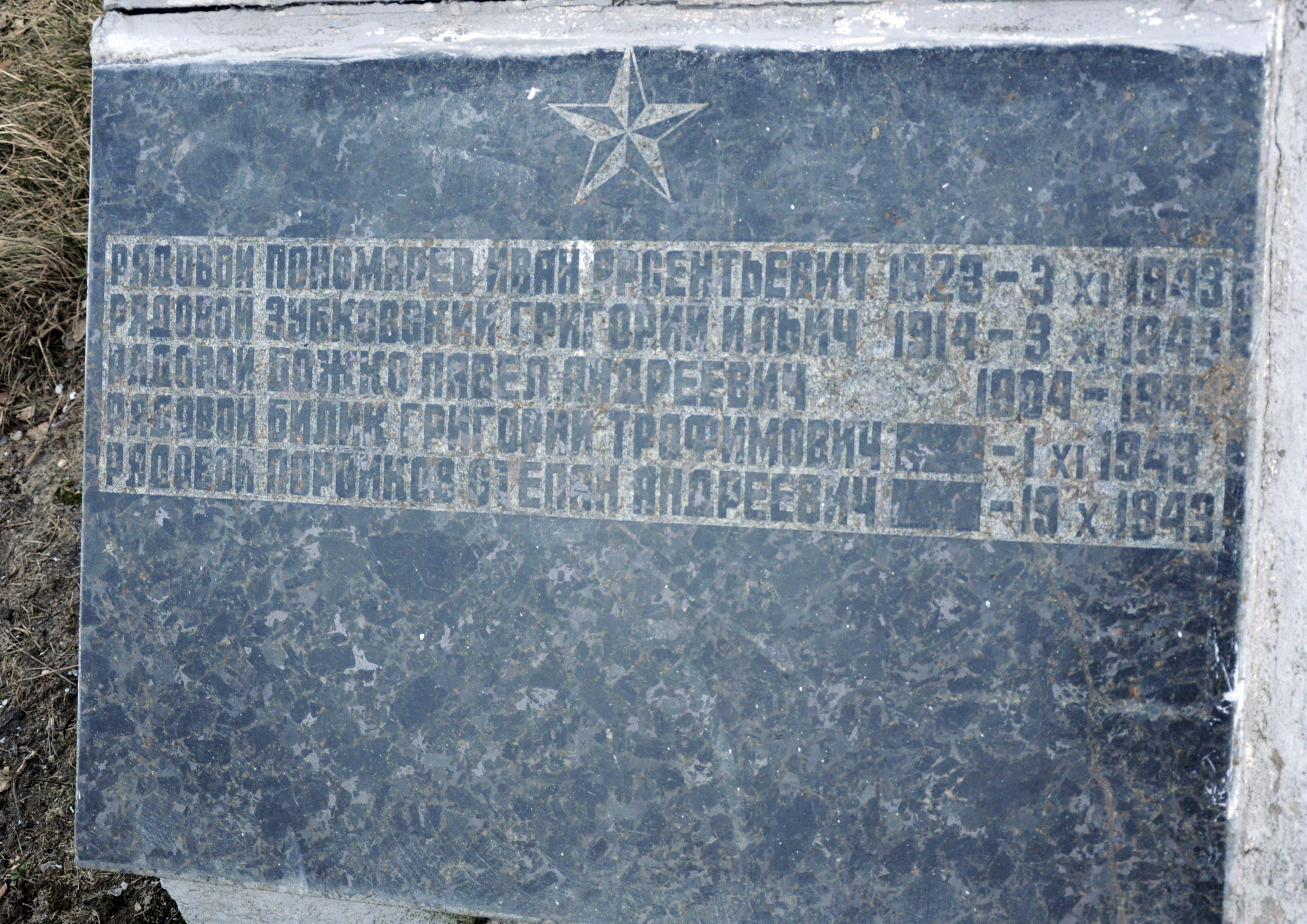 Братская могила в с. Новые Петровцы Вышгородского района