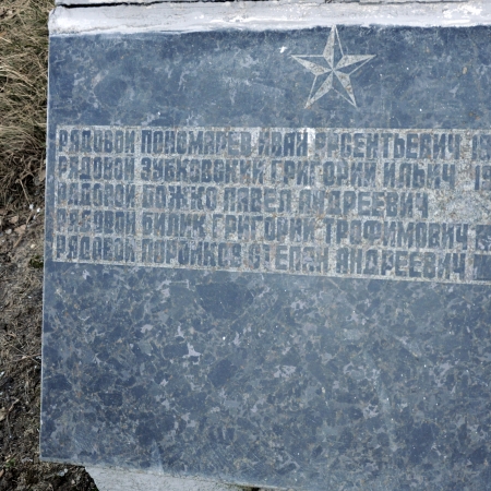 Братская могила в с. Новые Петровцы Вышгородского района