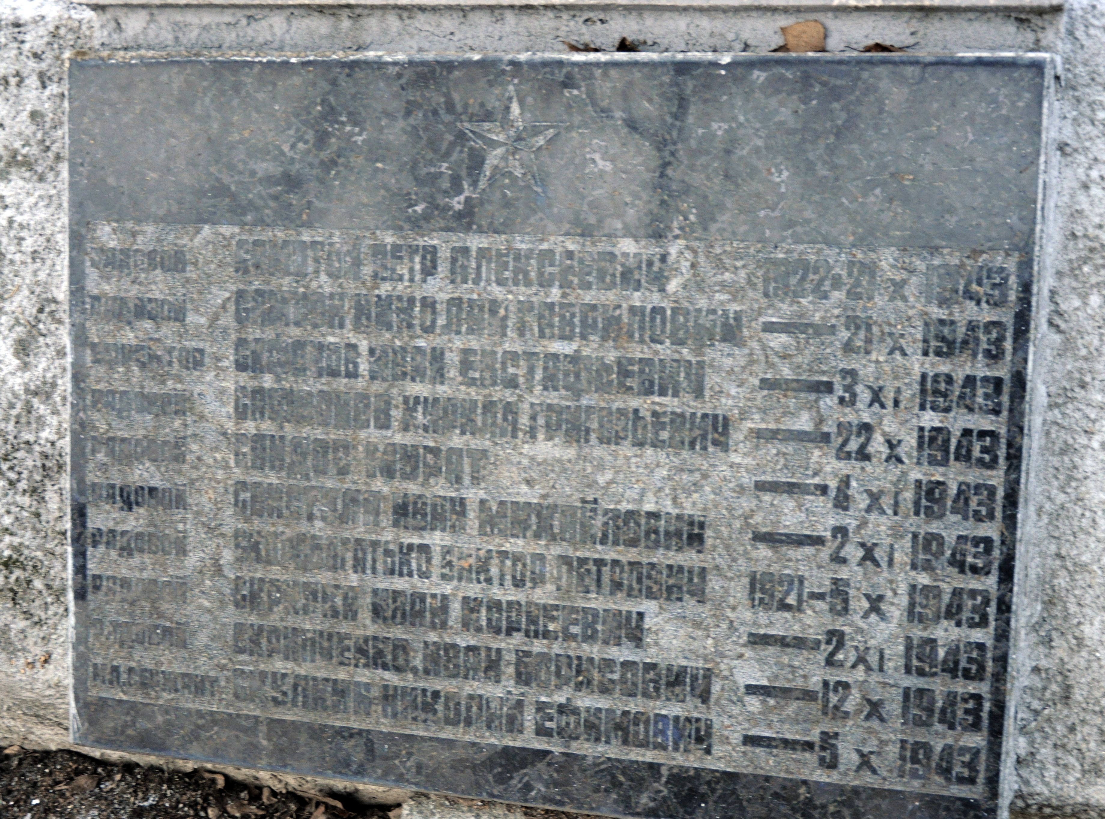 Братская могила в с. Новые Петровцы Вышгородского района