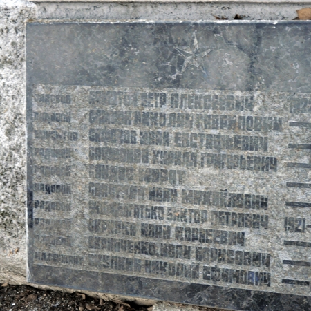 Братская могила в с. Новые Петровцы Вышгородского района