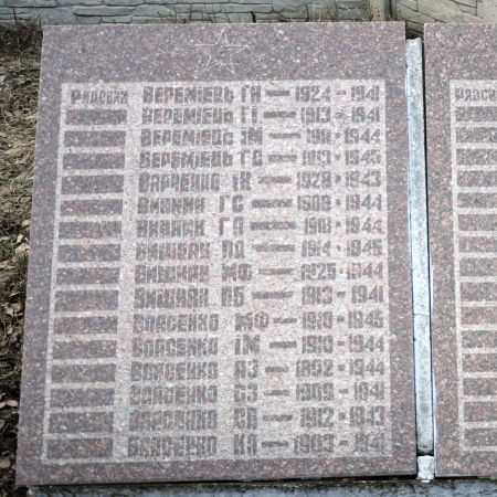 Памятник односельчанам в с. Новые Петровцы Вышгородского района