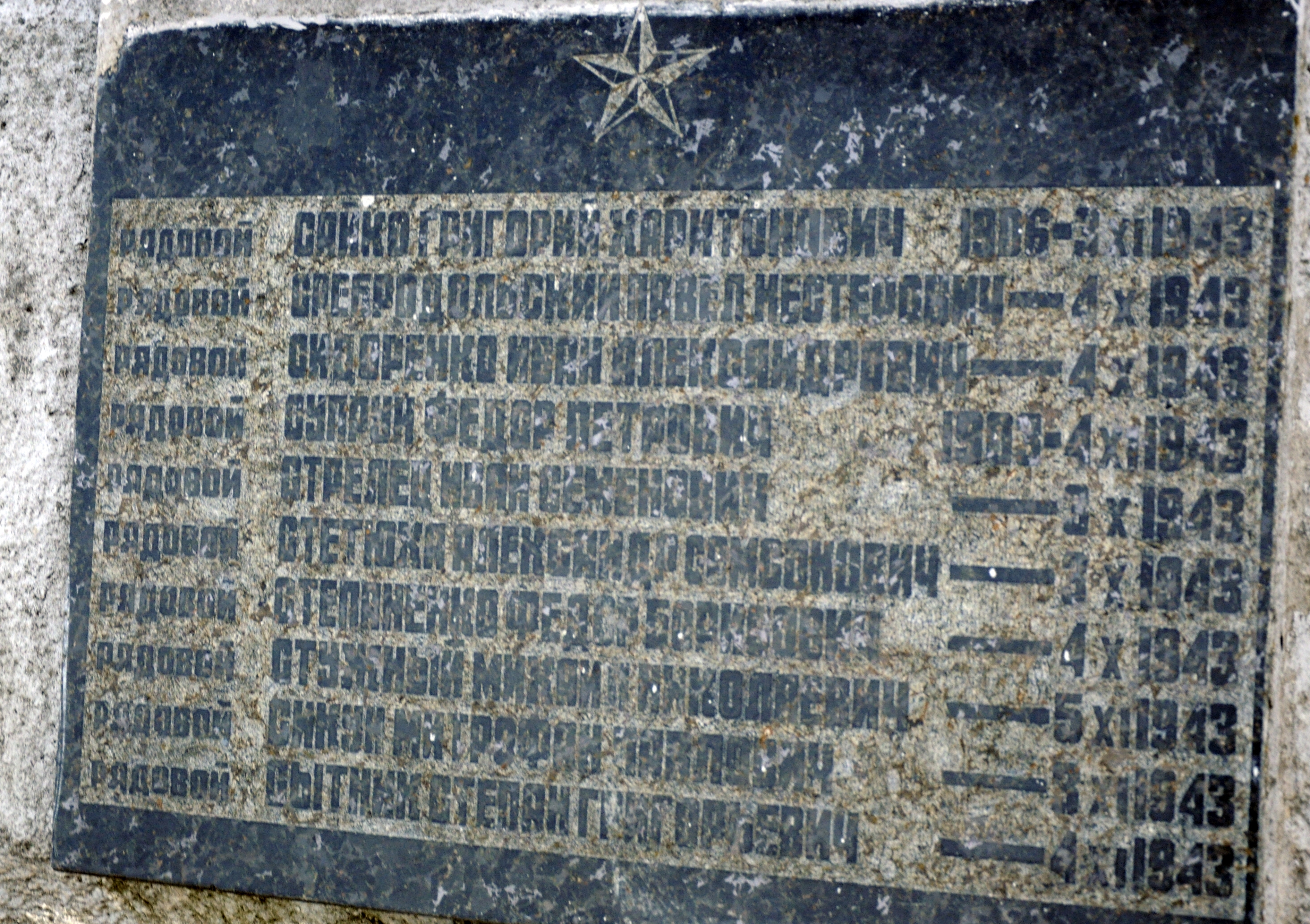 Братская могила в с. Новые Петровцы Вышгородского района