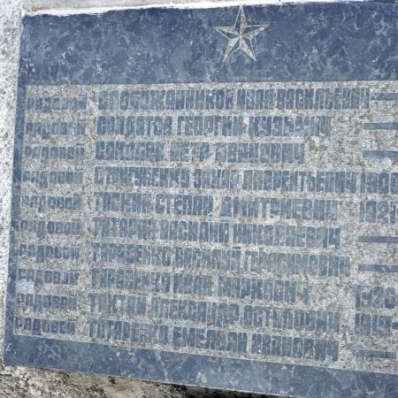 Братская могила в с. Новые Петровцы Вышгородского района