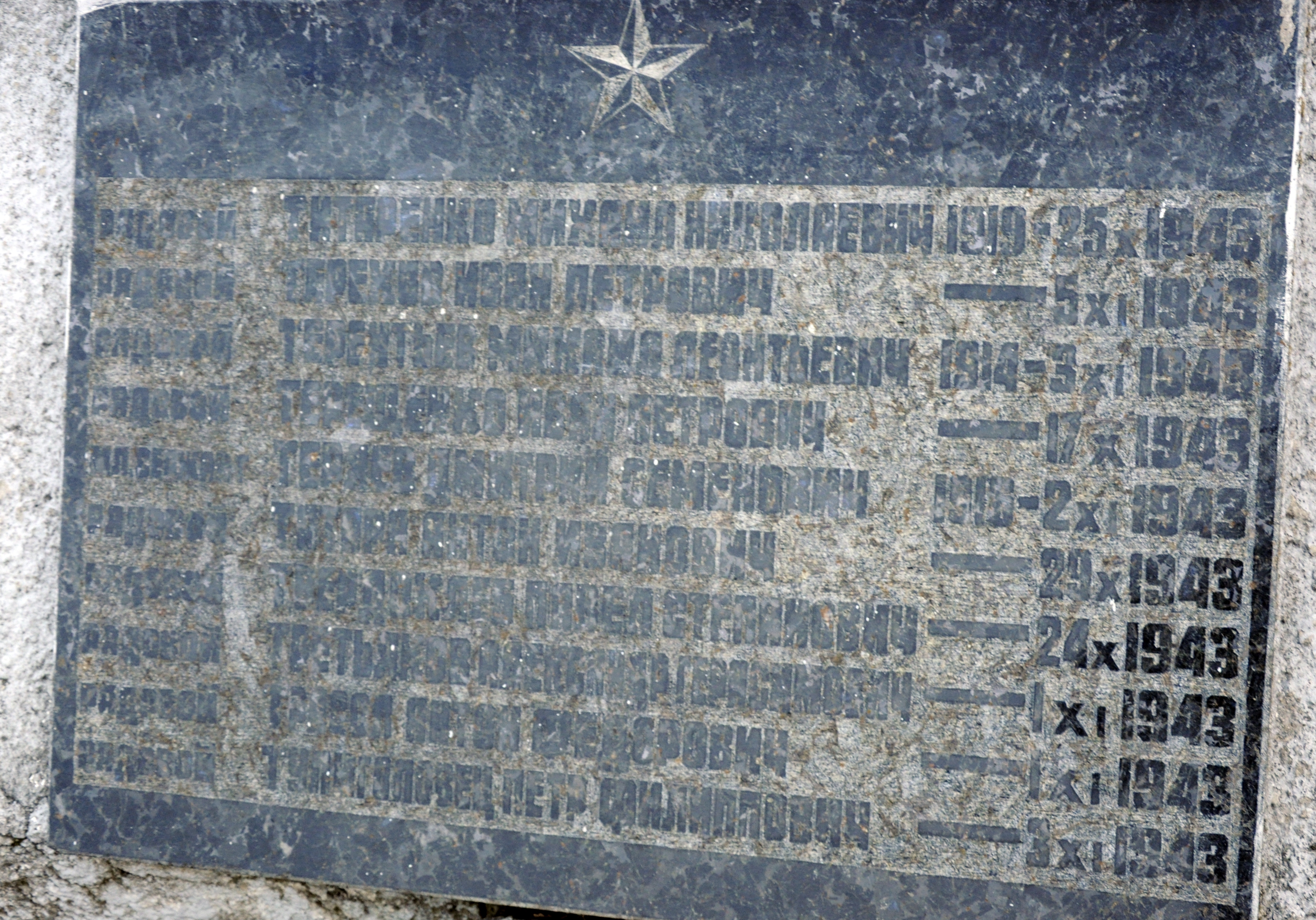 Братская могила в с. Новые Петровцы Вышгородского района