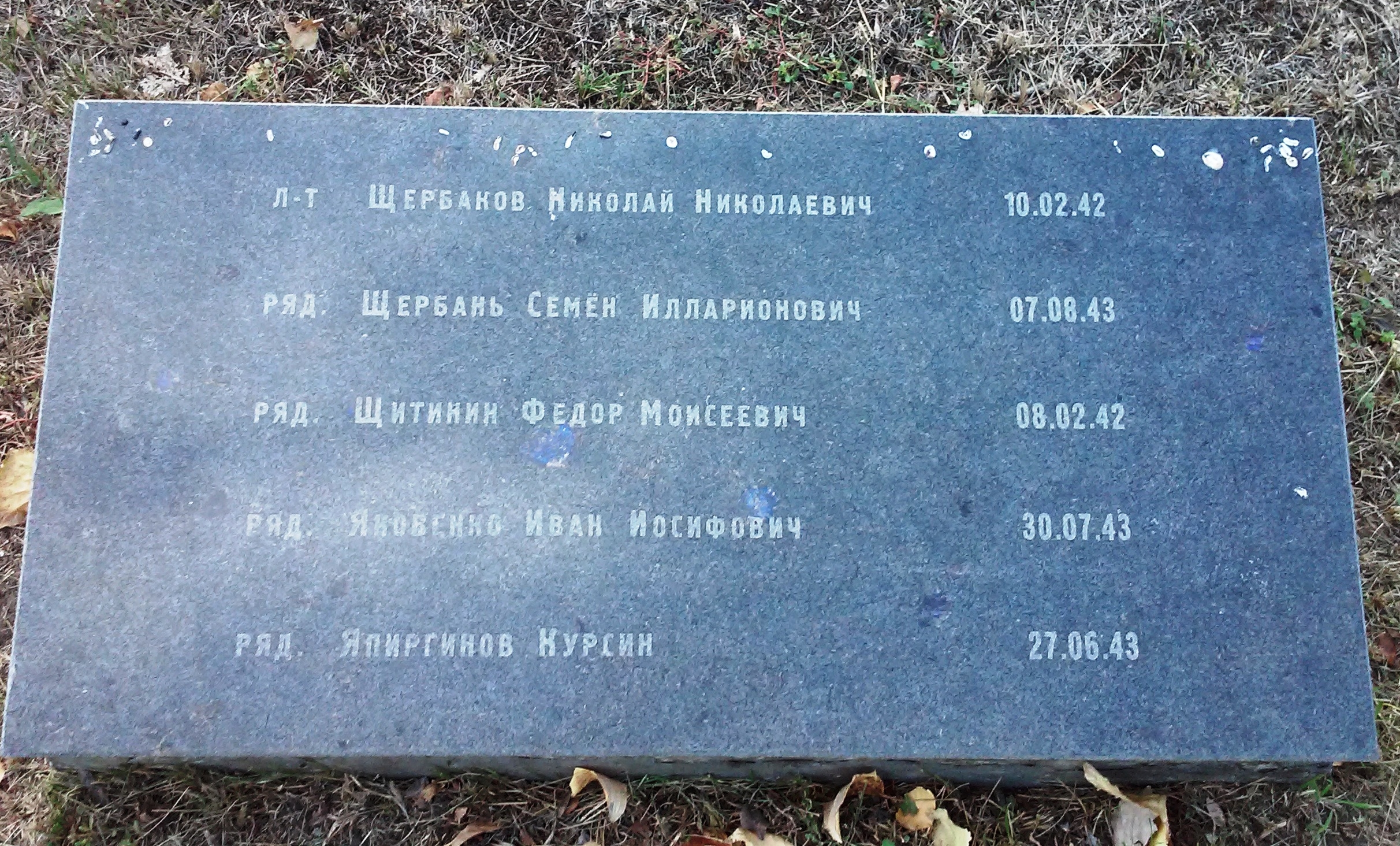 Братская могила в г. Северодонецк
