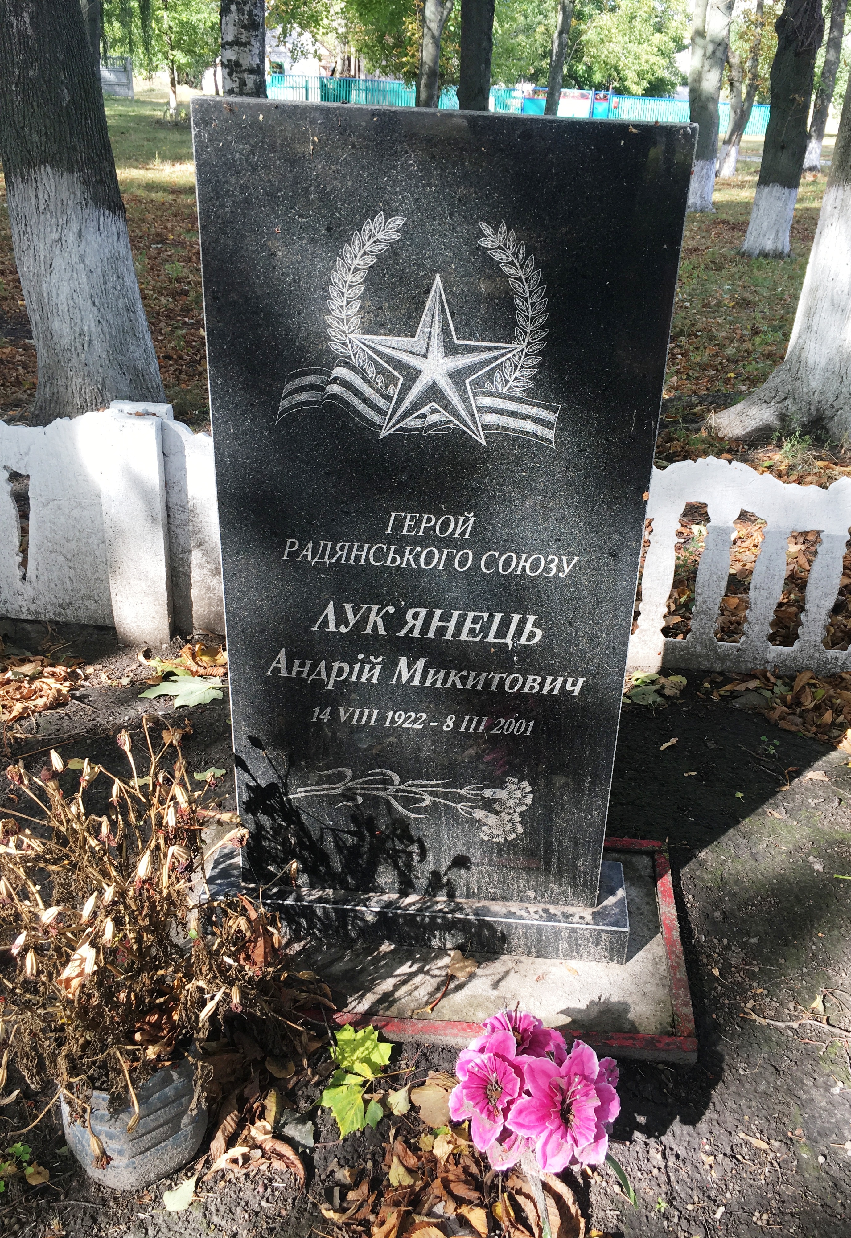 Братская могила в с. Жуковка Згуровского района