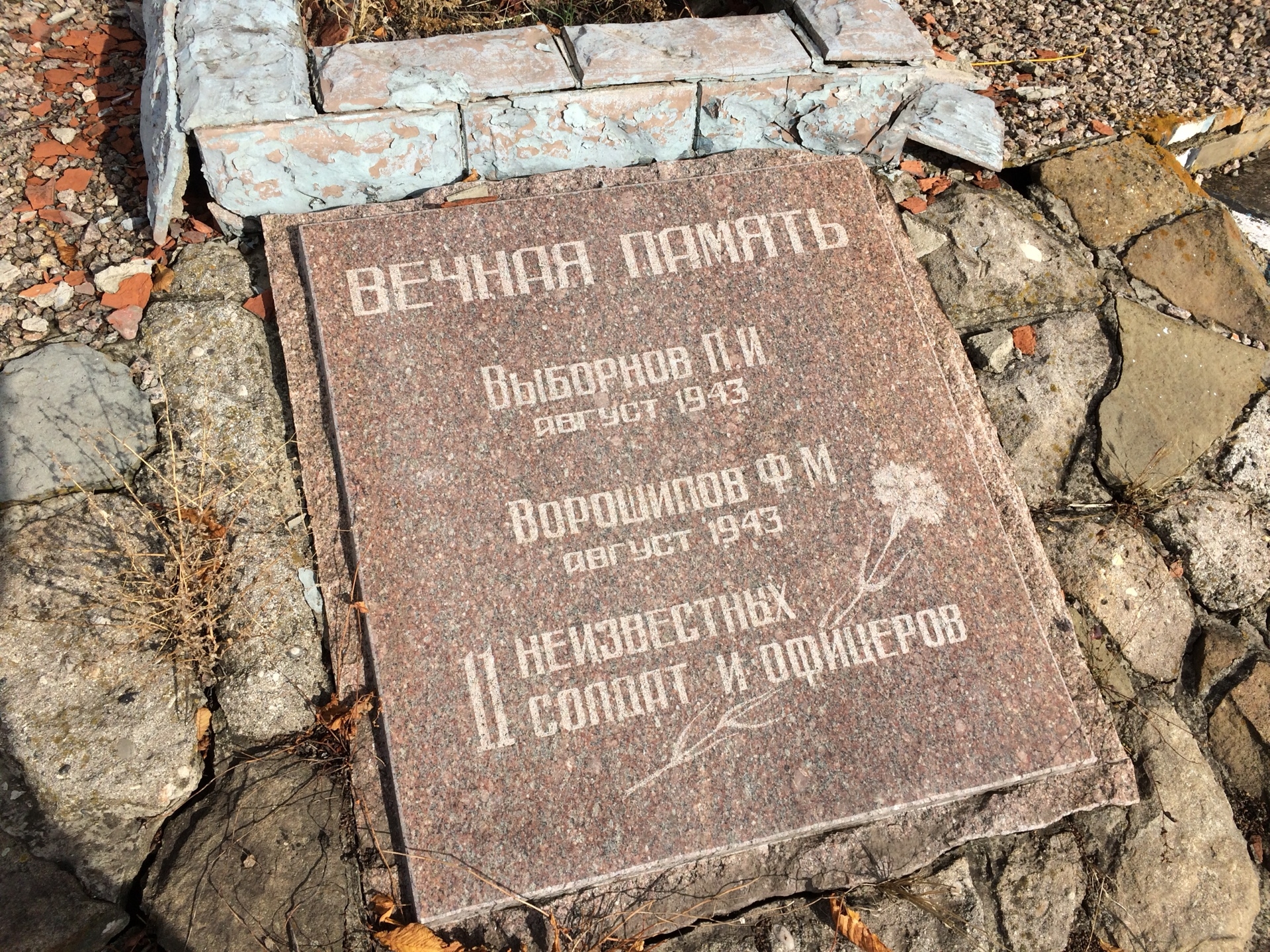 Братская могила на въезде в пгт Святогоровка Добропольского района