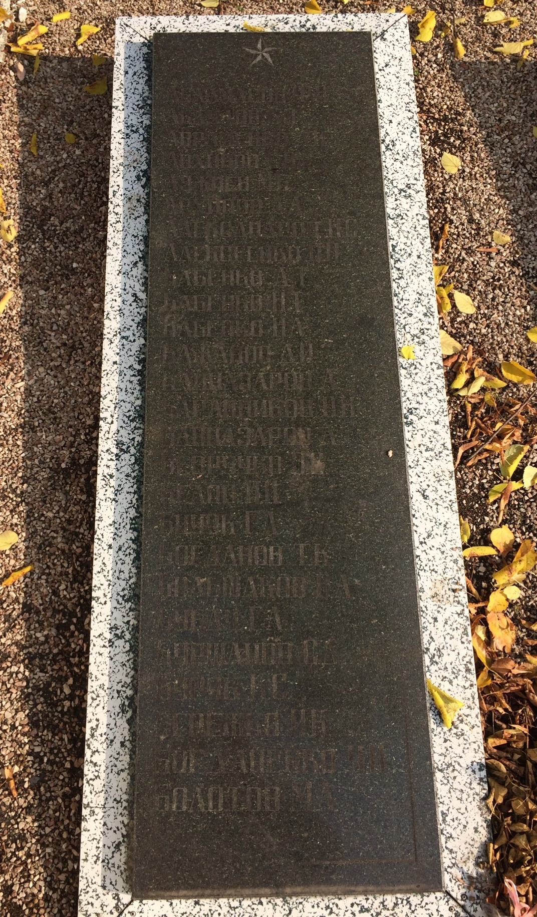 Братская могила и памятник землякам в г. Доброполье