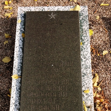 Братская могила и памятник землякам в г. Доброполье