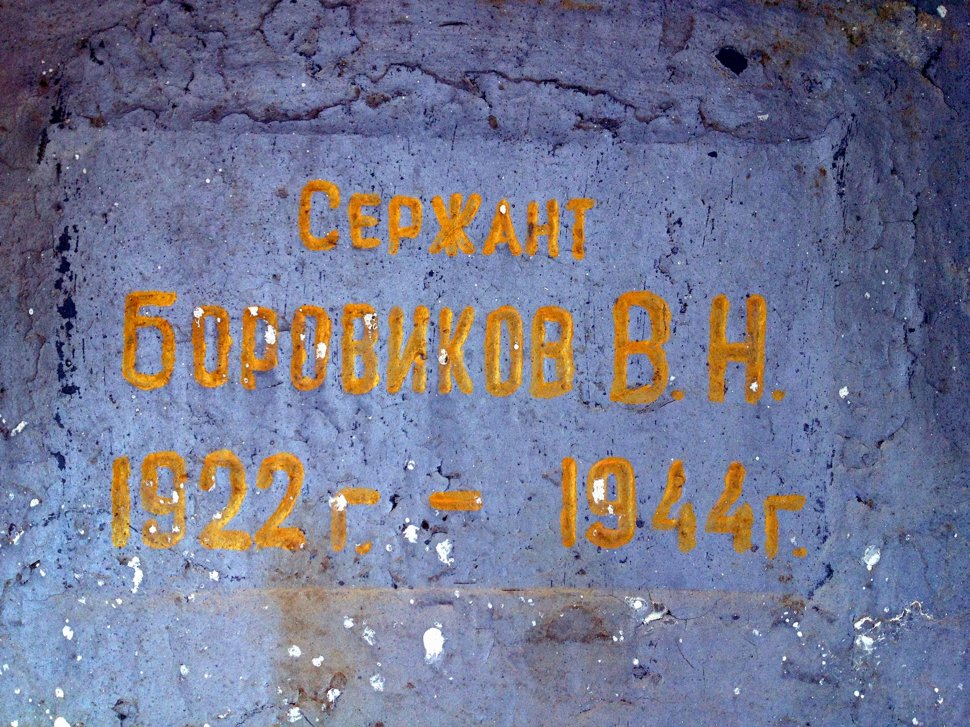 Боровиков В.Н.