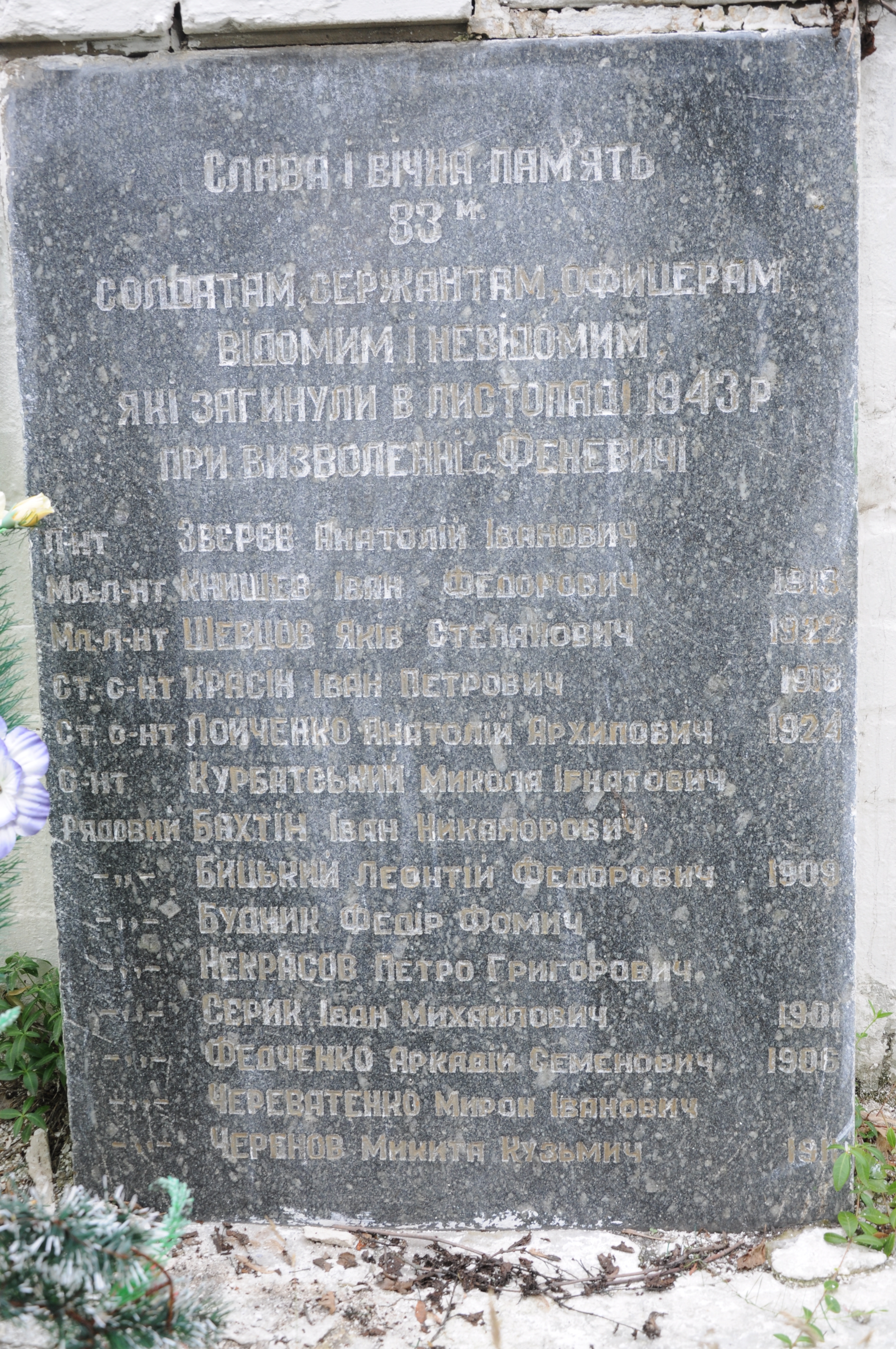 Братская могила в с. Феневичи Иванковского района