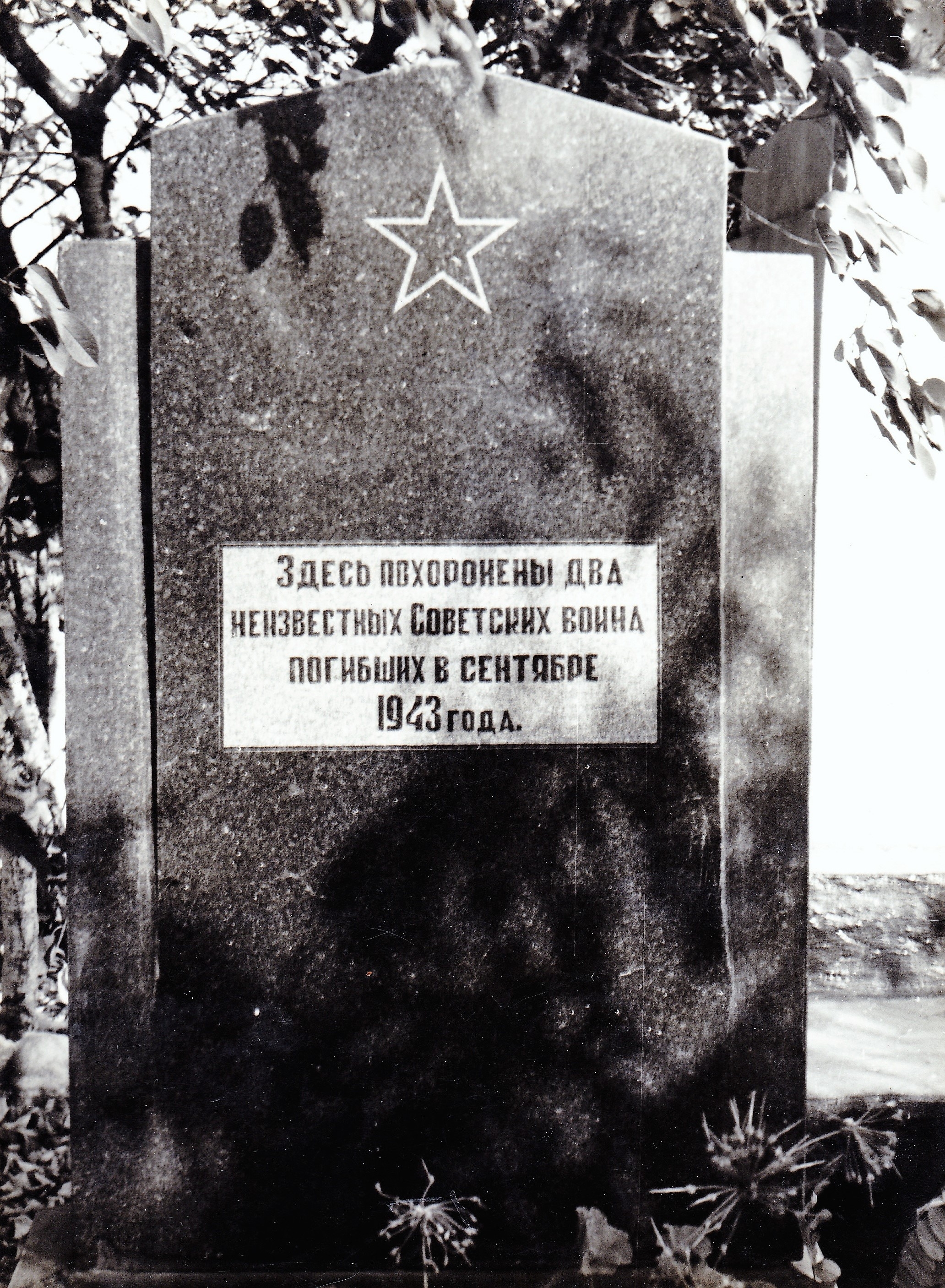 Воинские захоронения в совхозе "Тюльпан" в . г. Шахтерск