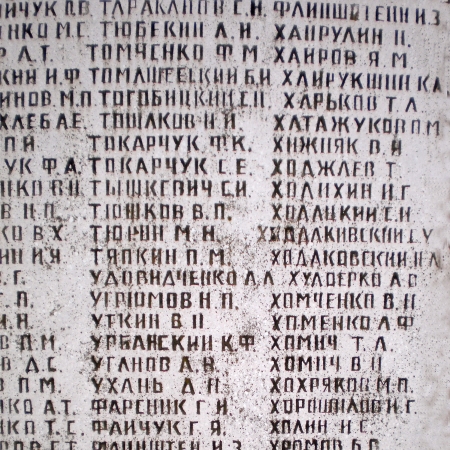 Братская могила в с. Коршев Коломыйского района