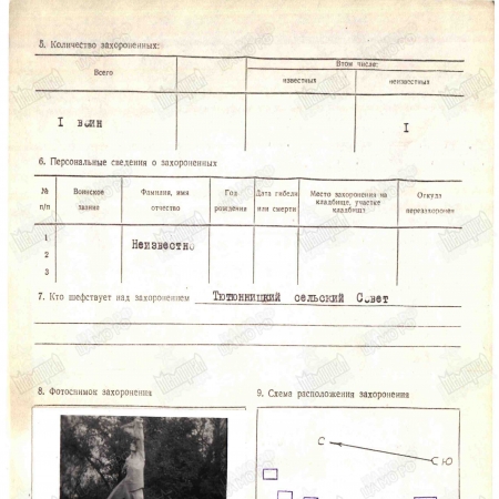 Одиночное захоронение в с. Тютюнница Корюковского района