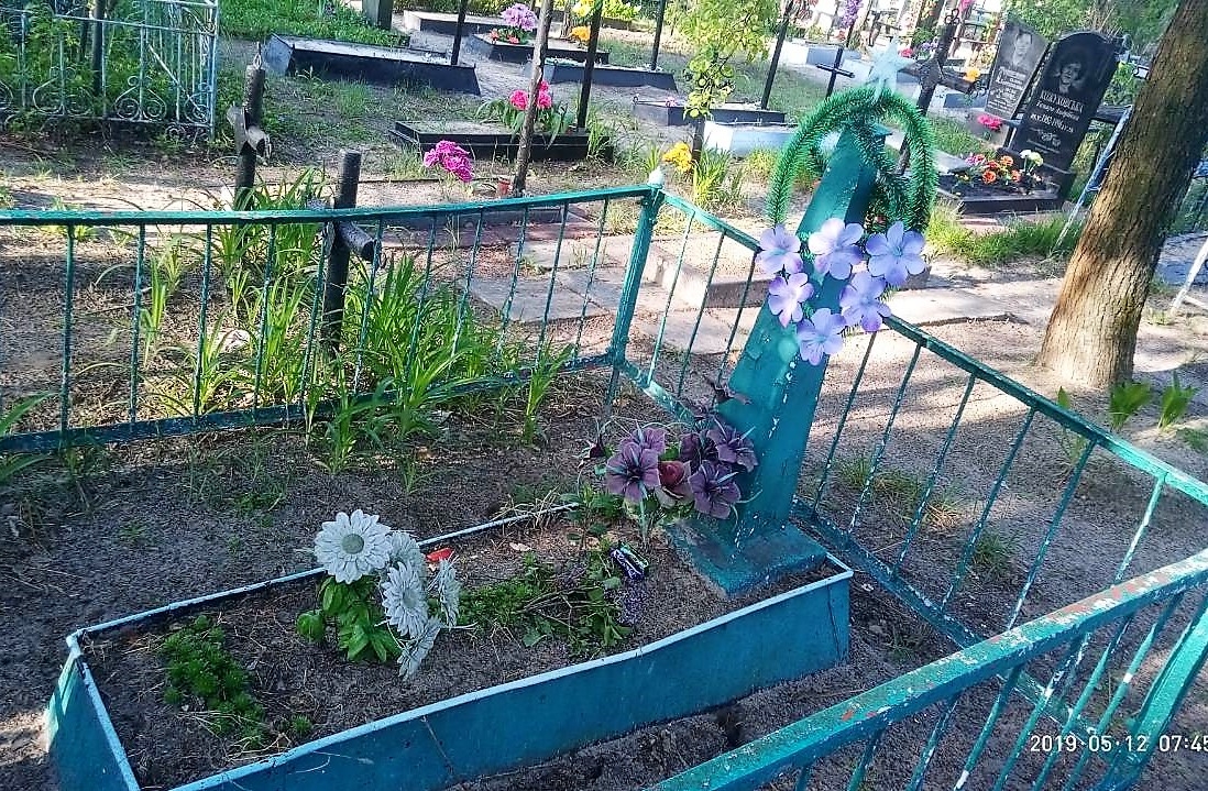Одиночное захоронение в с. Жмиевка Иванковского района Киевской обл.