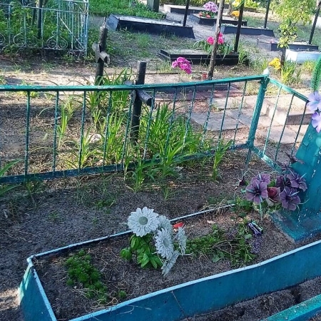 Одиночное захоронение в с. Жмиевка Иванковского района Киевской обл.