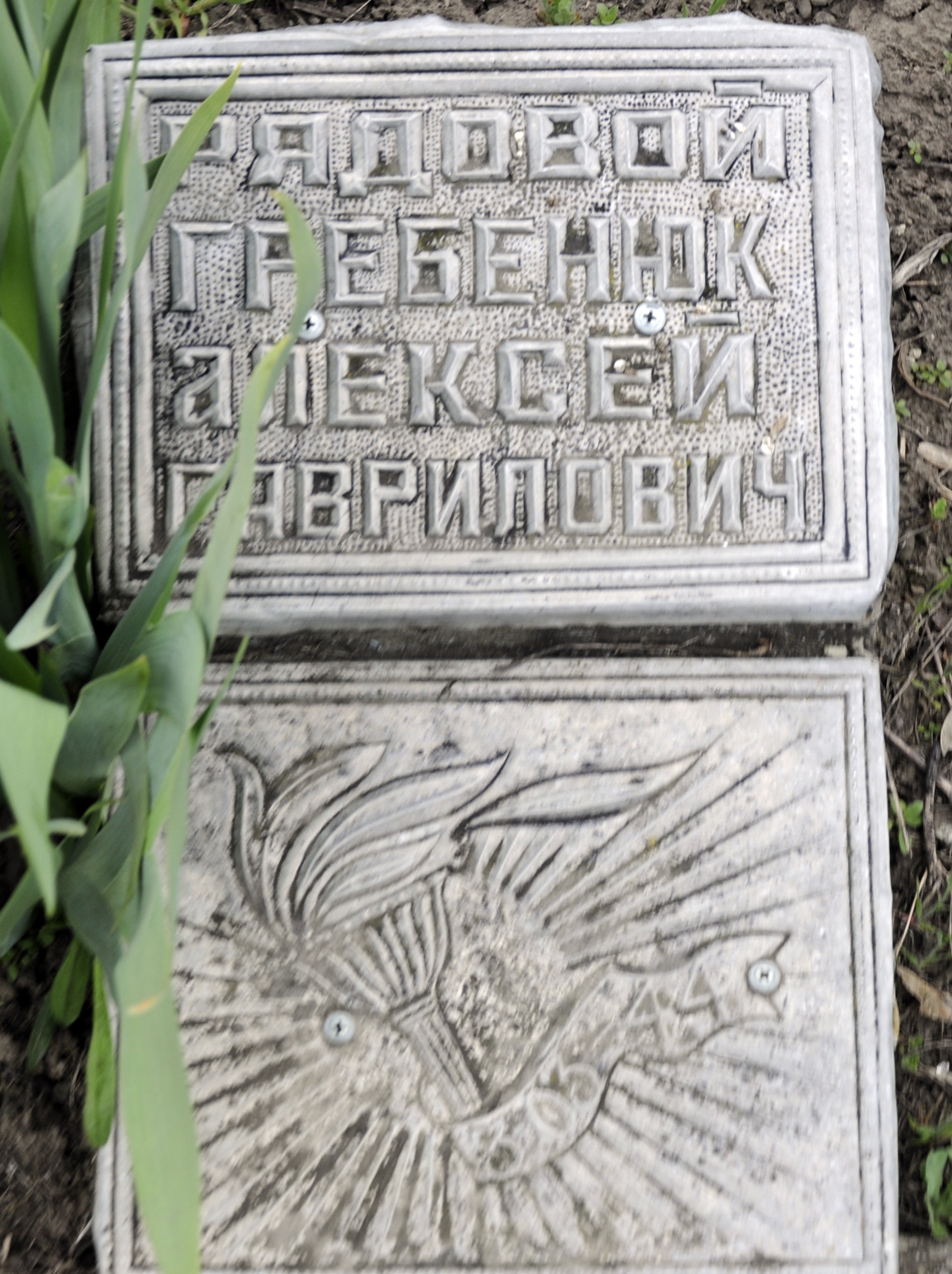 Братская могила в центре с. Орловец Городищенского района