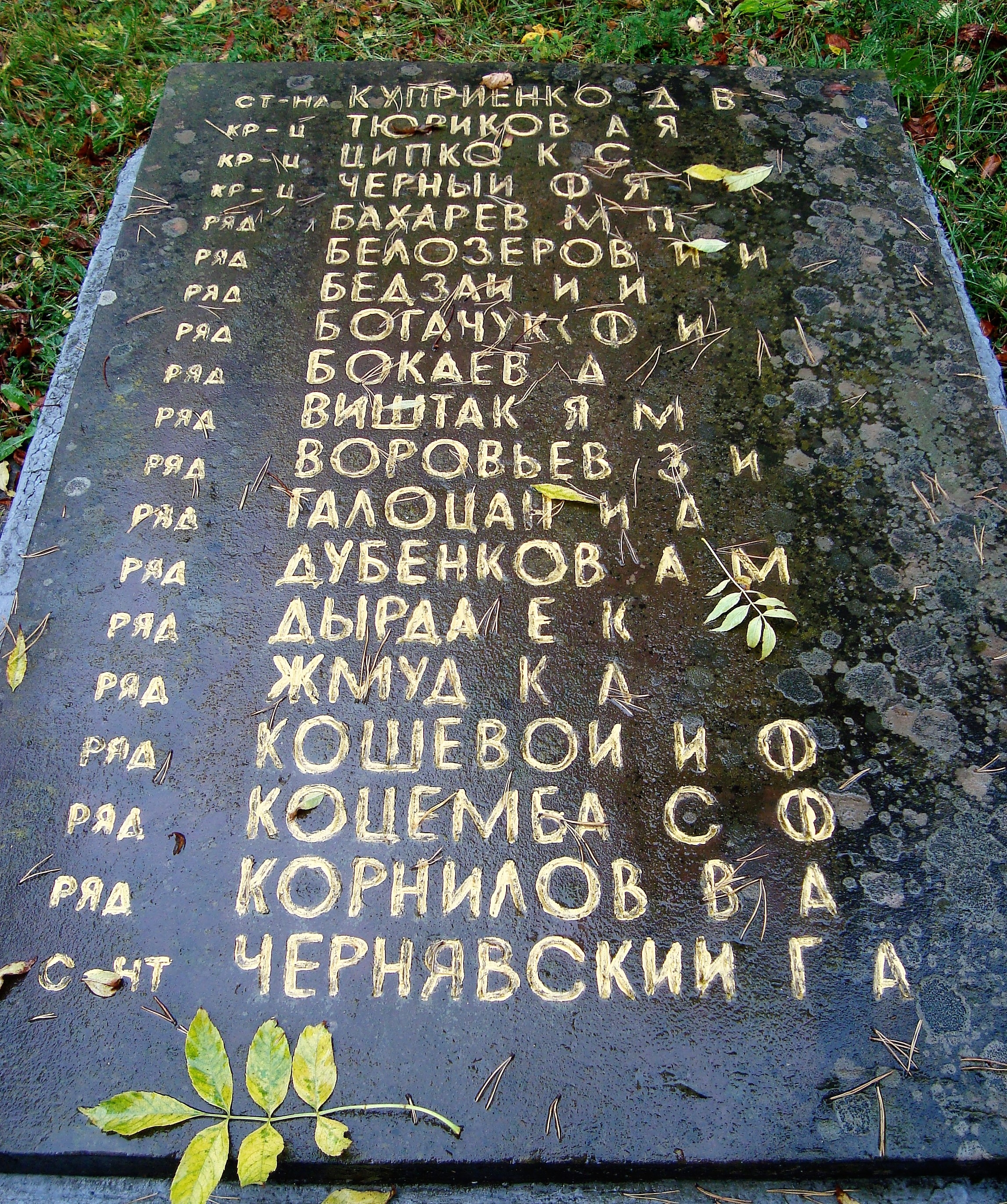 Братская могила у РГА в пгт. Верховина