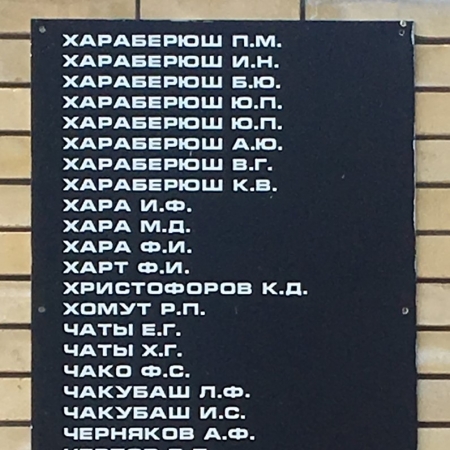 Братская могила в с. Старомлыновка Великоновоселковского района