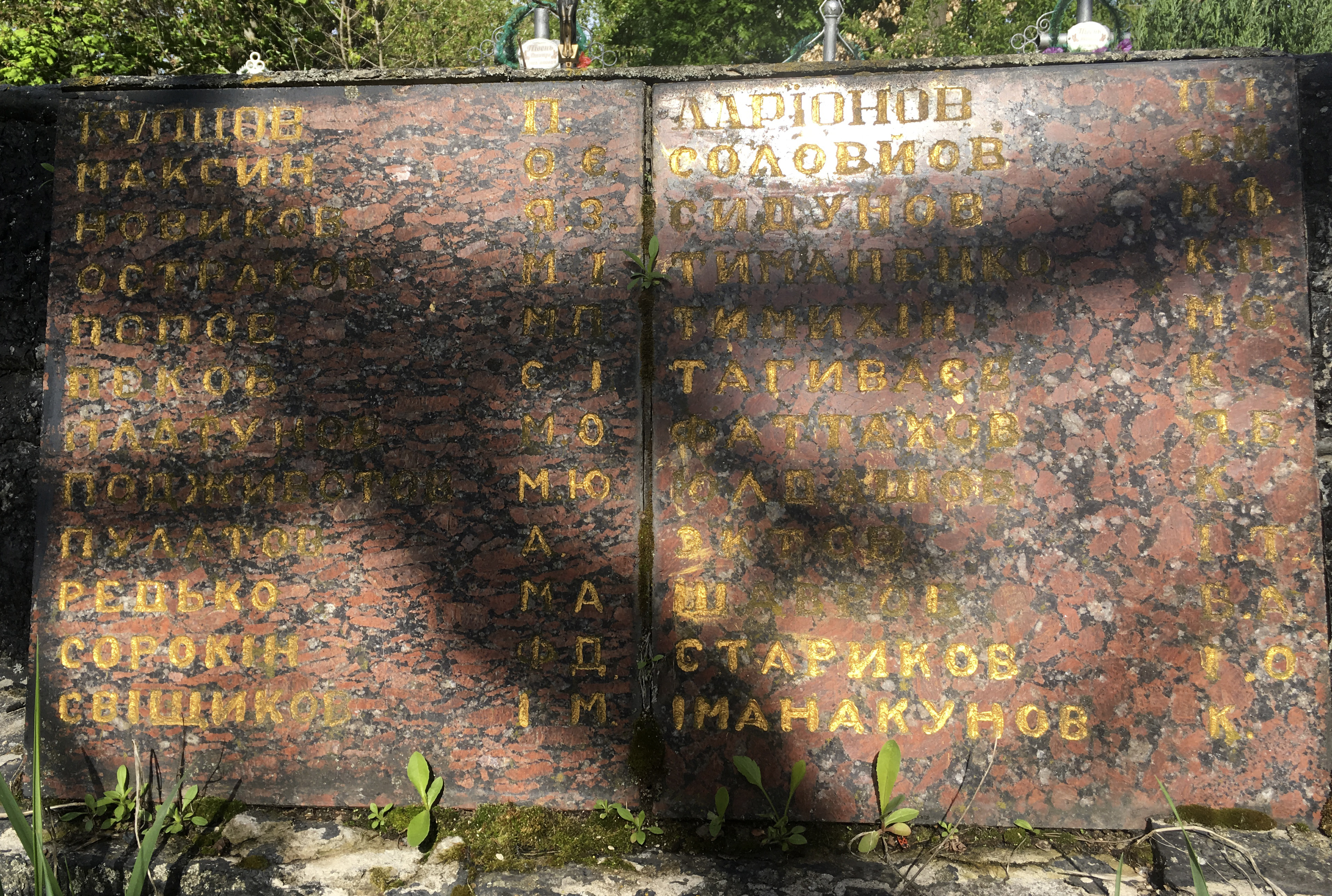Братская могила на кладбище с. Королевка Макаровского района