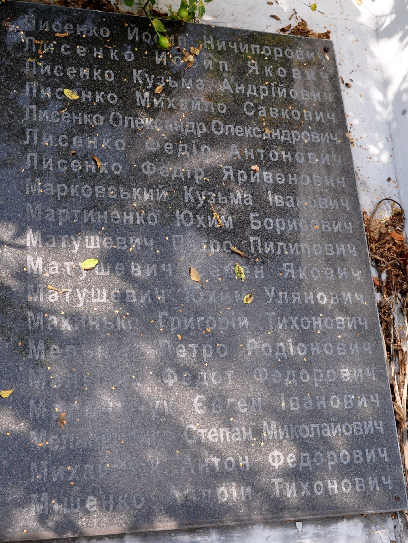 Памятник односельчанам в с. Великая Ольшанка Васильковского района