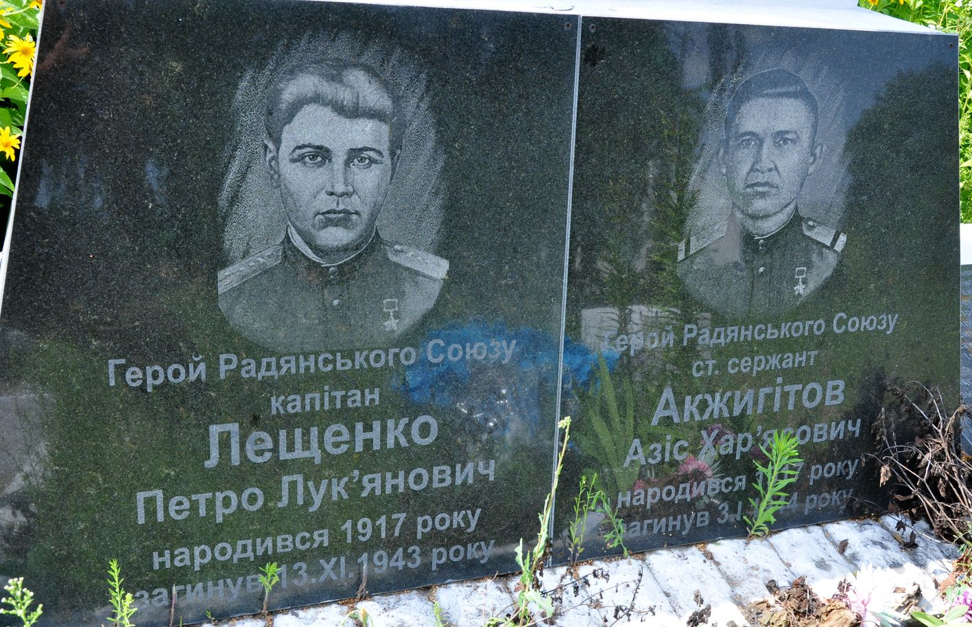 Братская могила в с. Великая Ольшанка Васильковского района