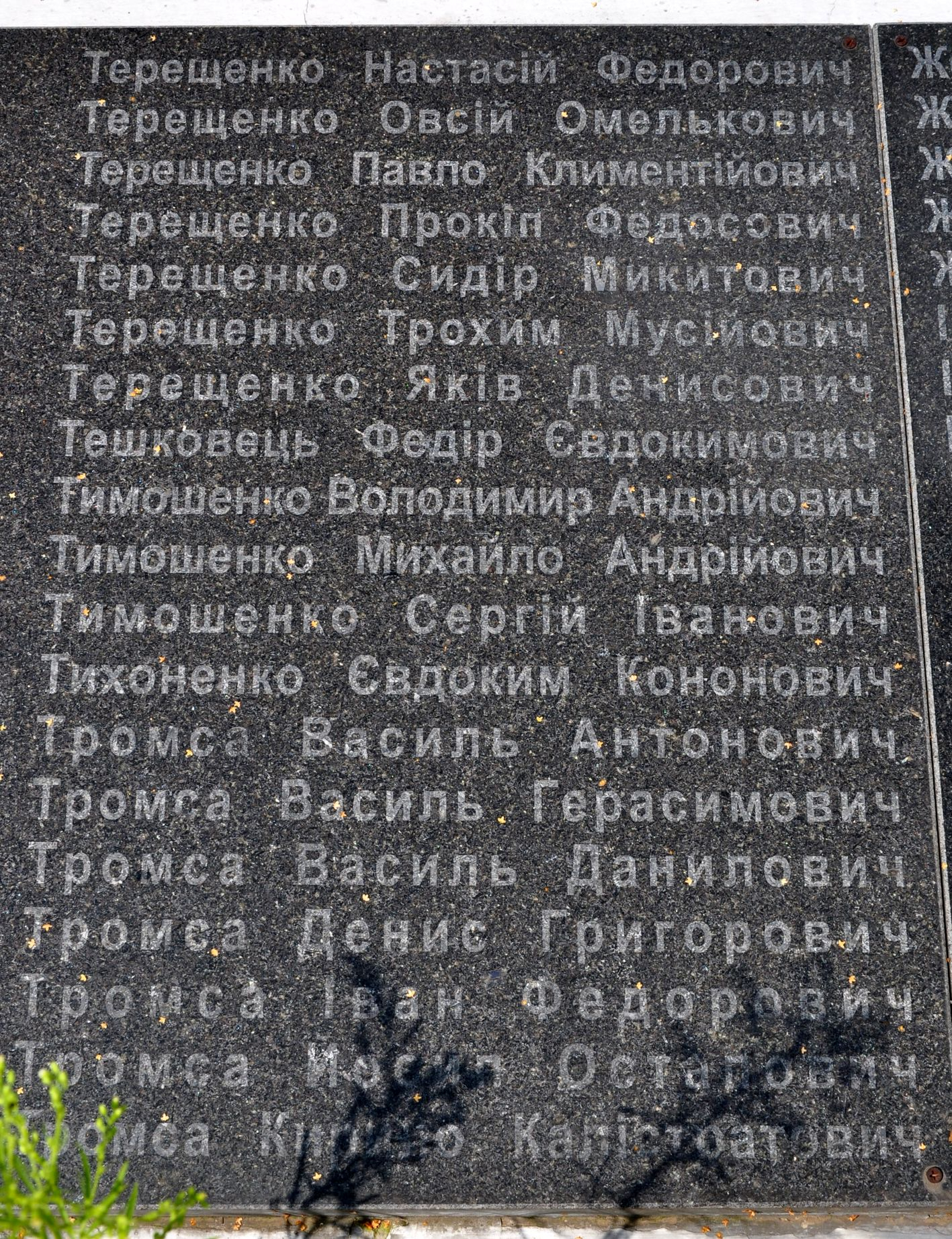 Памятник односельчанам в с. Великая Ольшанка Васильковского района