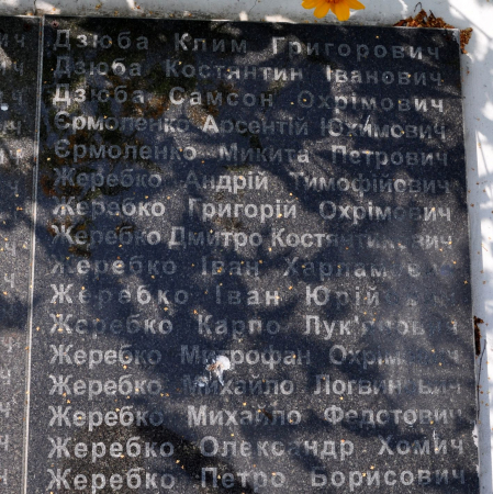 Памятник односельчанам в с. Великая Ольшанка Васильковского района