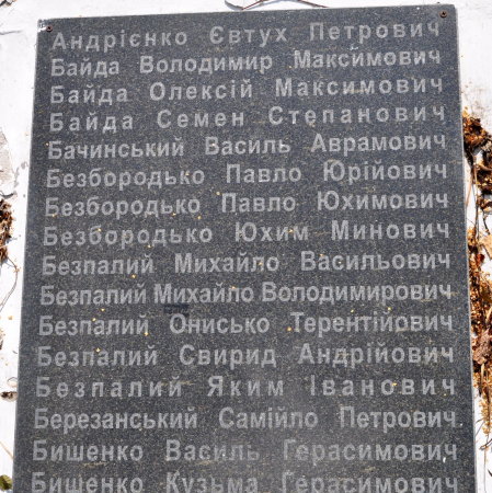 Памятник односельчанам в с. Великая Ольшанка Васильковского района