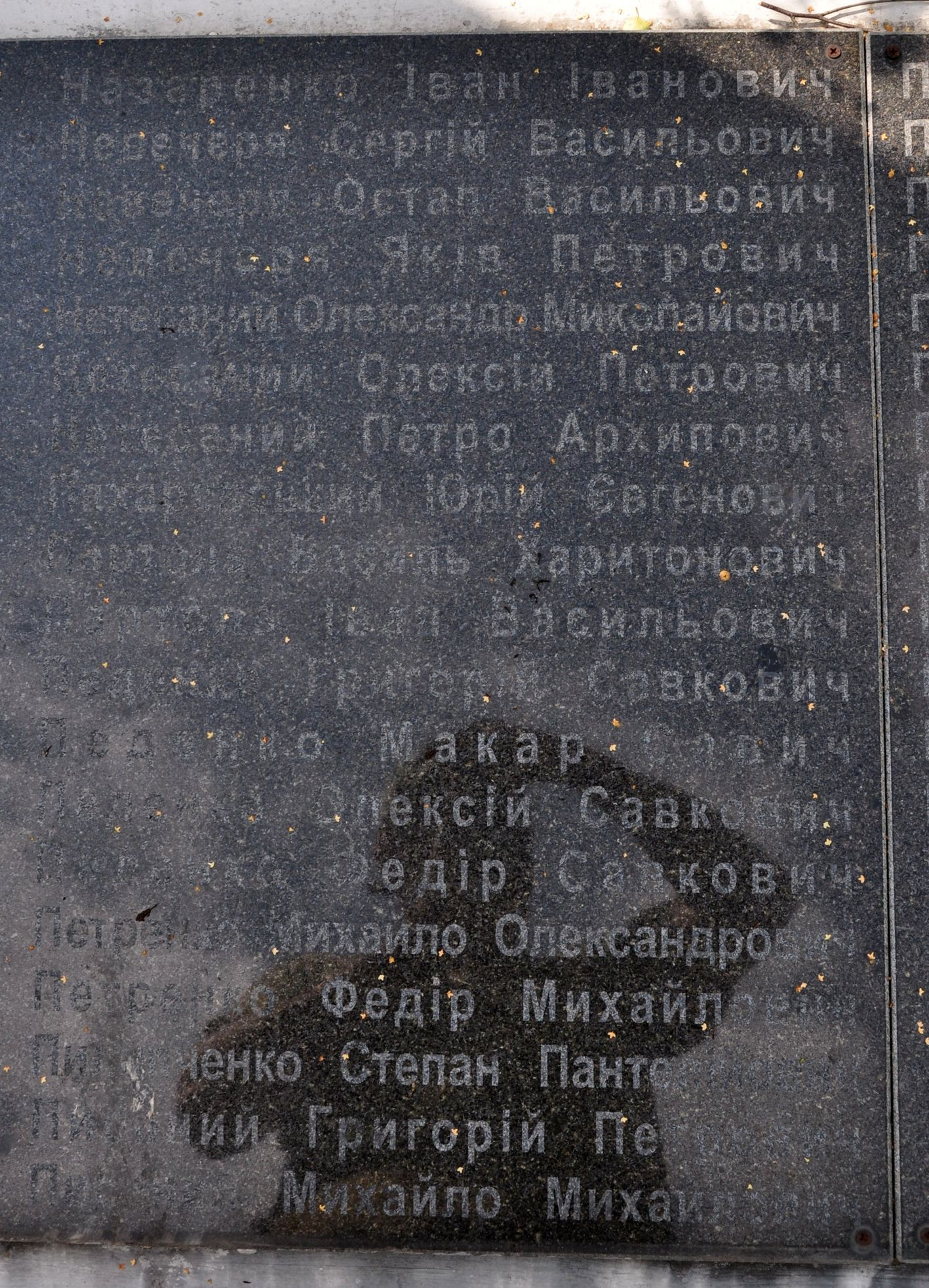 Памятник односельчанам в с. Великая Ольшанка Васильковского района