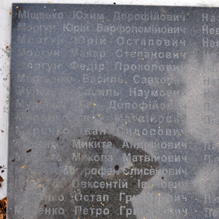 Памятник односельчанам в с. Великая Ольшанка Васильковского района